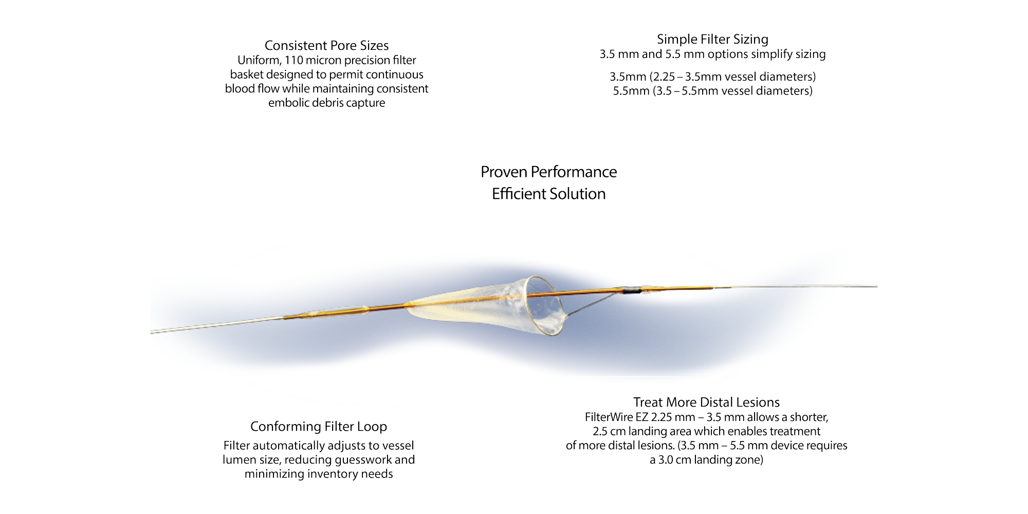 FilterWire EZ™ Embolic Protection System for SVGs Boston Scientific